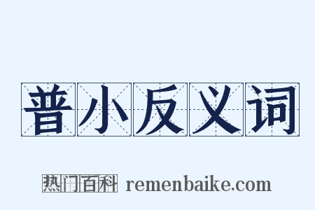 普小反义词是什么意思的图片